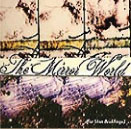 The Mirror World